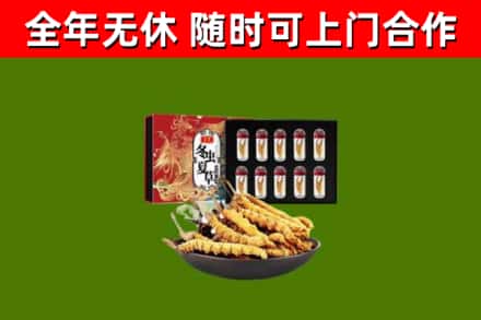 朔城区回收冬虫夏草价格